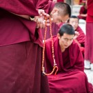 дебаты монахов в монастыре Сера