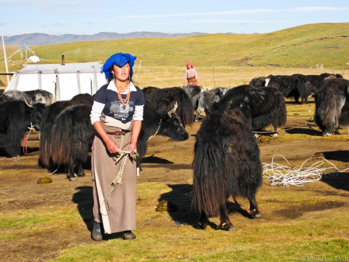 тибетка из семьи кочевников степей Цеког