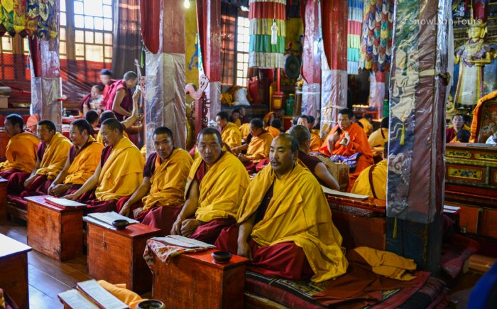 Сангха монахов, монастырь Дрикунг Кагью, У Цанг Центральный Тибет, туры в Тибет