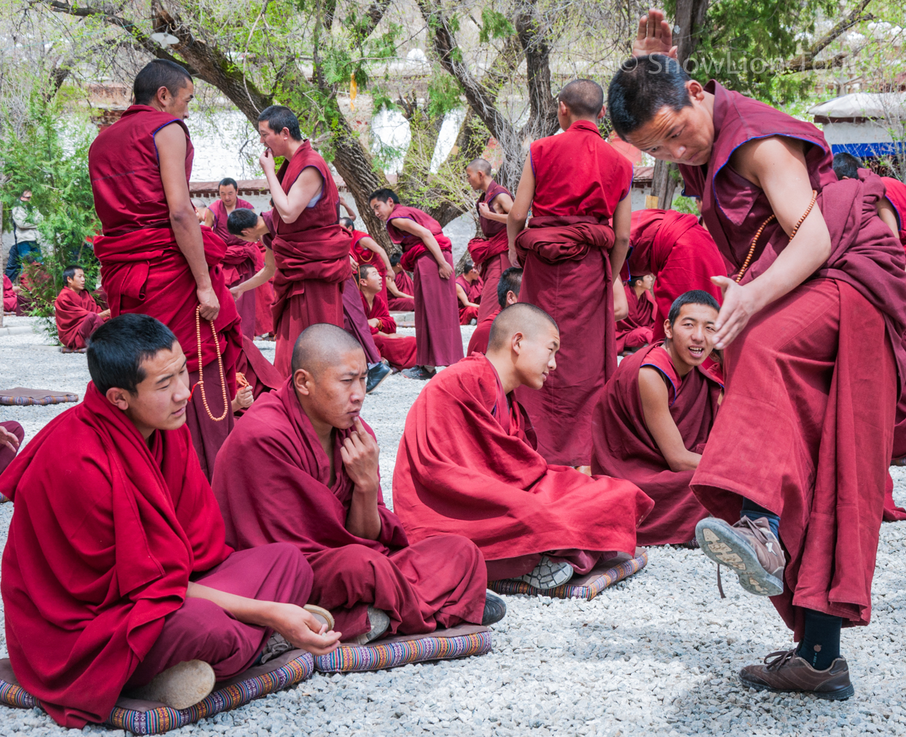 Тибетские горловые монахи. Монастырь сера Тибет. Непал.Тибет.монахи. Непальские монахи. Тибетские монахи.