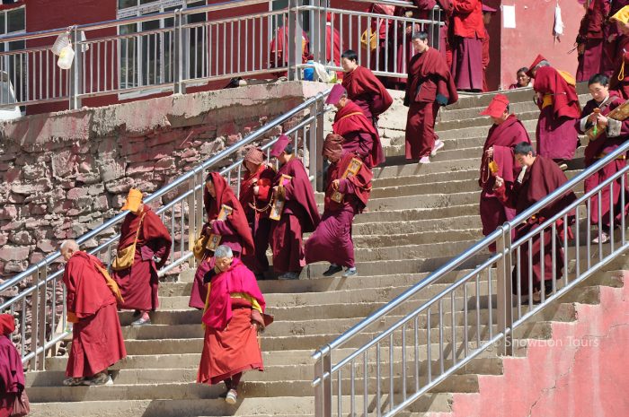 Монахини на ступенях колледжа, Серта Ларунг Гар, Гардзи, Кхам, Тибет, туры в Тибет