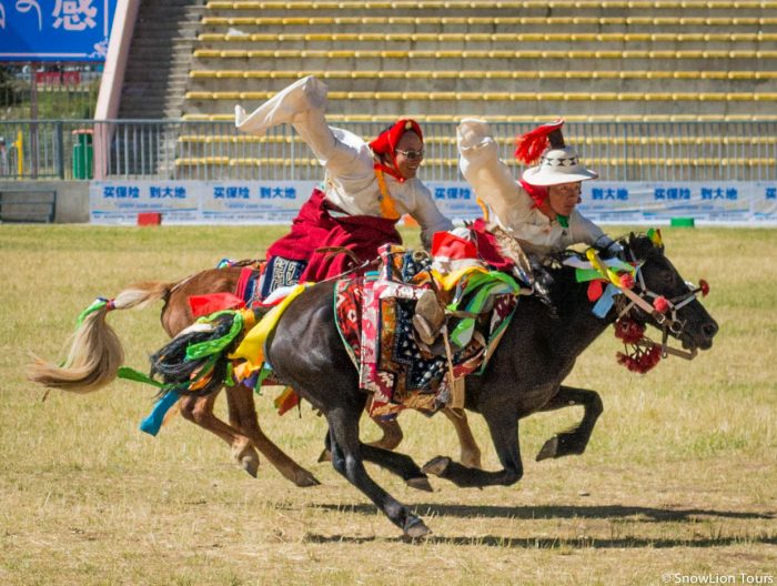 Фестиваль лошадиных скачек в Юйшу
