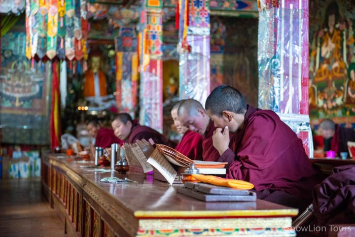 Монахини на занятиях, Монастырь Шугшеб, Лхаса, тур в Лхасу, нетуристический Тибет, тур в Тибет